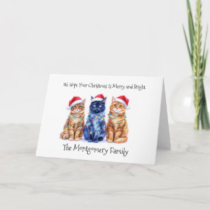 Christmas Cats Card