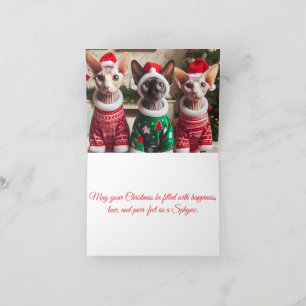 Christmas Cats Card   Funny Sphynx Cats 