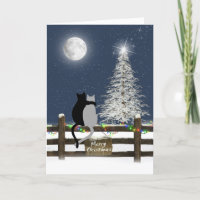 Christmas Cats on Fence