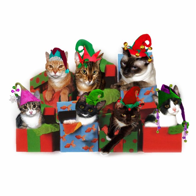 Christmas Cats Standing Photo Sculpture (Front)
