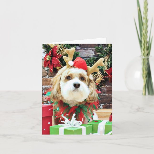 Christmas - Cavachon - Max Holiday Card (Front)