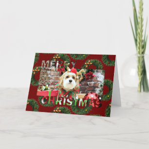 Christmas - Cavachon - Max Holiday Card