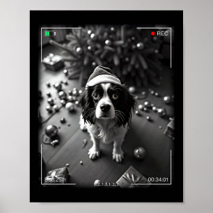 Christmas Cavalier King Charles Spaniel Caught On Poster