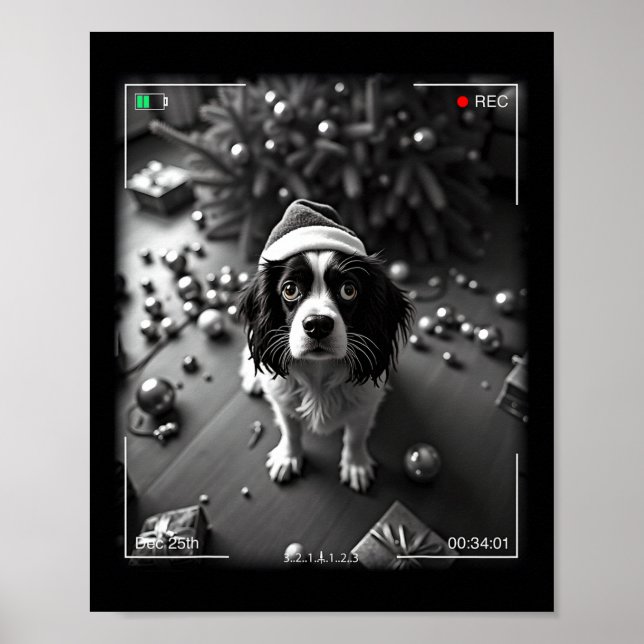 Christmas Cavalier King Charles Spaniel Caught On  Poster (Front)
