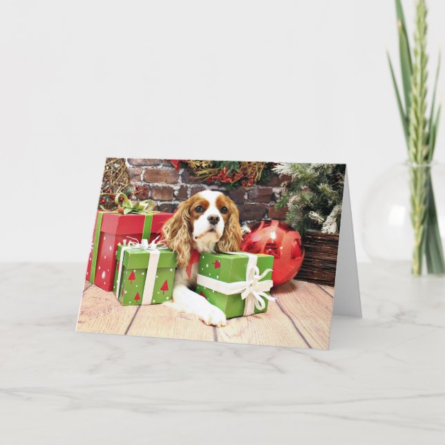 Christmas - Cavalier King Charles Spaniel - Poppy Holiday Card (Front)