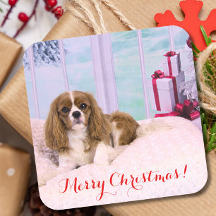 Christmas Cavalier King Charles With Presents Square Sticker