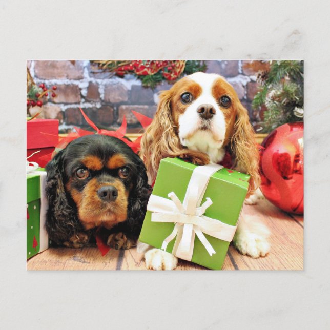 Christmas - Cavalier - Sweet Pea and Poppy Holiday Postcard (Front)