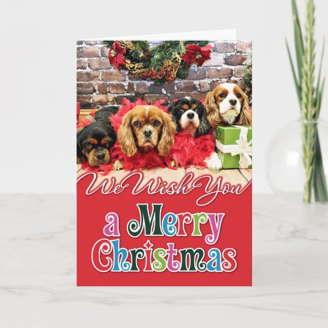 Christmas - Cavalier - Sweet Pea, Lily, Rose Poppy Holiday Card (Front)