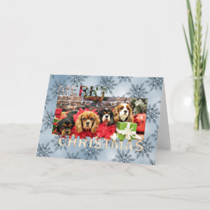 Christmas - Cavalier - Sweet Pea, Lily, Rose Poppy Holiday Card