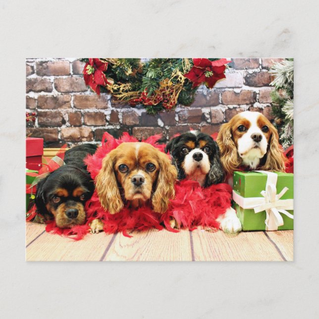 Christmas - Cavalier - Sweet Pea, Lily, Rose Poppy Holiday Postcard (Front)