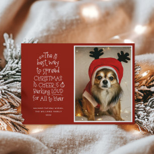 Christmas Cheer Pet Photo Red Holiday Card