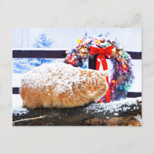 "Christmas Cheeto" Postcard