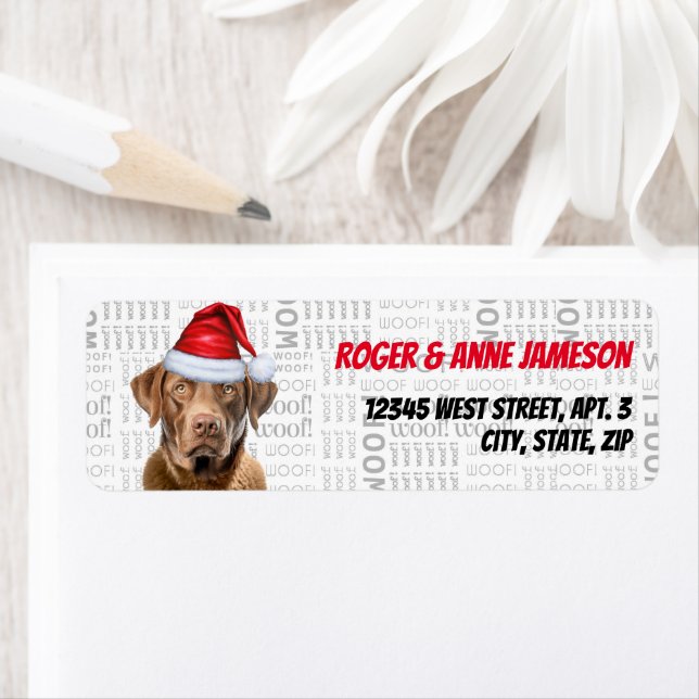 Christmas Chesapeake Bay Retriever Dog Name (Insitu)