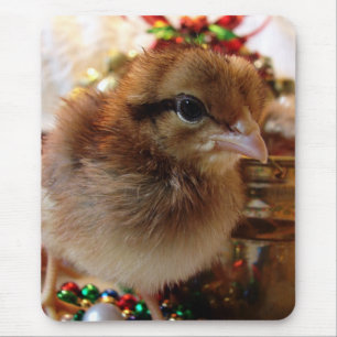 Christmas Chick 3 Mouse Mat