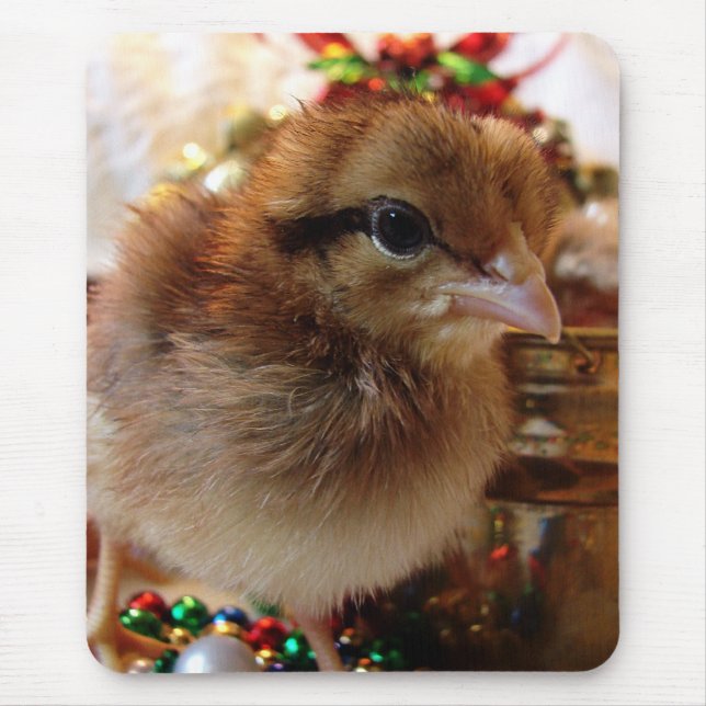 Christmas Chick Mouse Mat (Front)