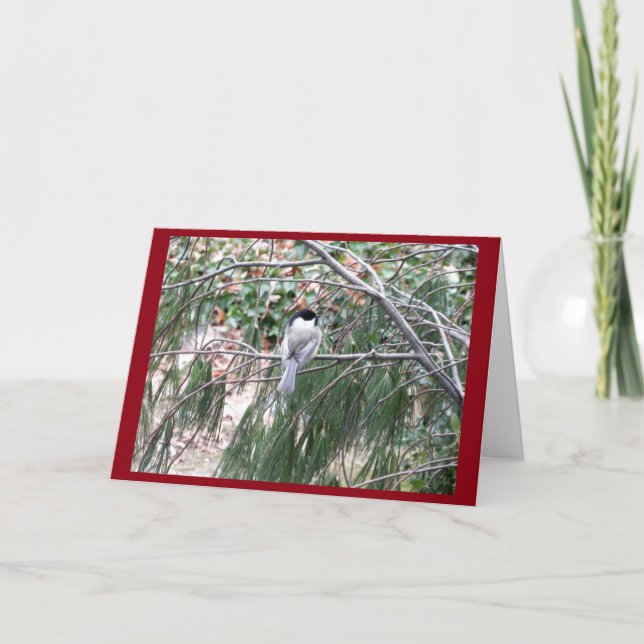 Christmas Chickadee Greeting Card (Front)