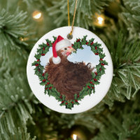 Christmas Chicken * Frizzle Chicken Ceramic Orname