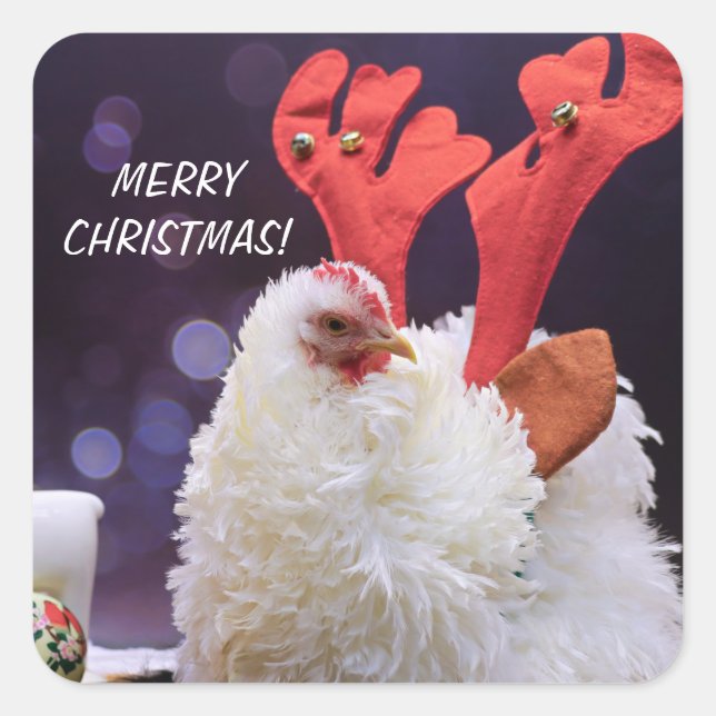 Christmas Chicken - Frizzled Cochin Bantam Pet Square Sticker (Front)