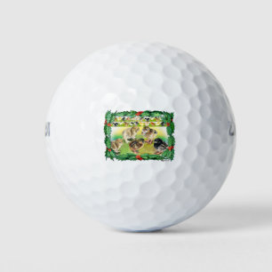Christmas Chicks Golf Balls