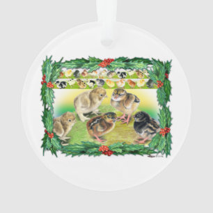 Christmas Chicks Ornament