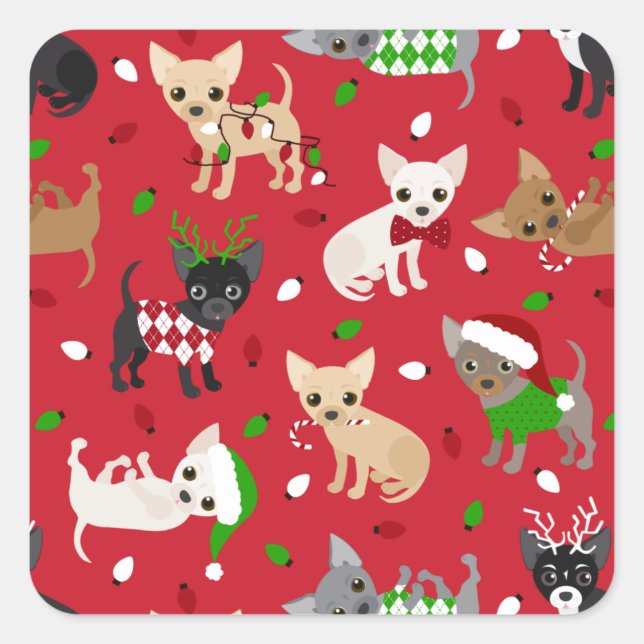 Christmas Chihuahua All Coats Square Sticker (Front)