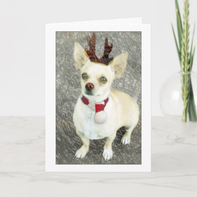 Christmas Chihuahua Card (Front)