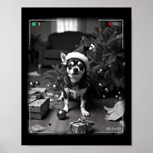 Christmas Chihuahua Caught On Camera Poster