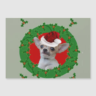 Christmas Chihuahua Dog
