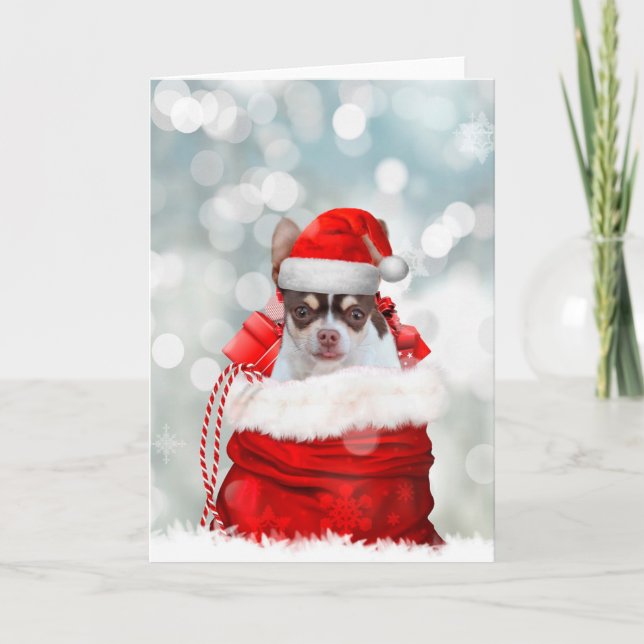 Christmas  Chihuahua dog greeting card (Front)