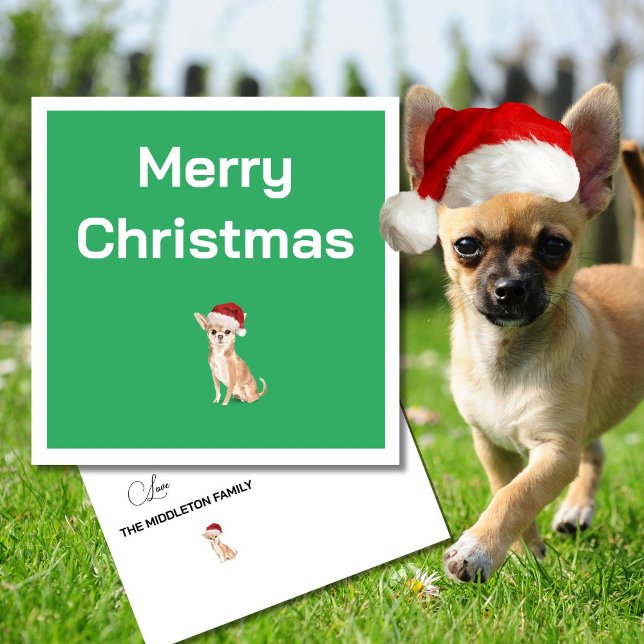 Christmas Chihuahua Dog White Green Merry Greeting (Creator Uploaded)