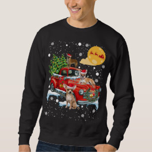 Christmas Chihuahua Dog With Vintage Red Truck Fun Sweatshirt
