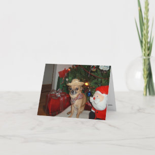 christmas chihuahua holiday card