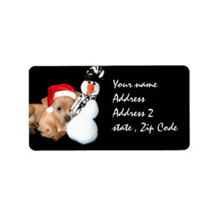 Christmas Chihuahua Label