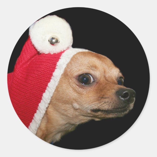 Christmas Chihuahua stickers (Front)