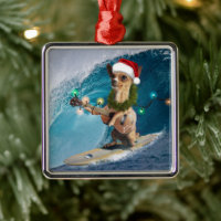 Christmas Chihuahua Surfing