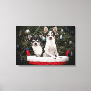 Christmas Chihuahua's in a red basket Canvas Print
