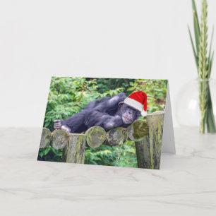 Christmas Chimpanzee with a Santa Hat Card
