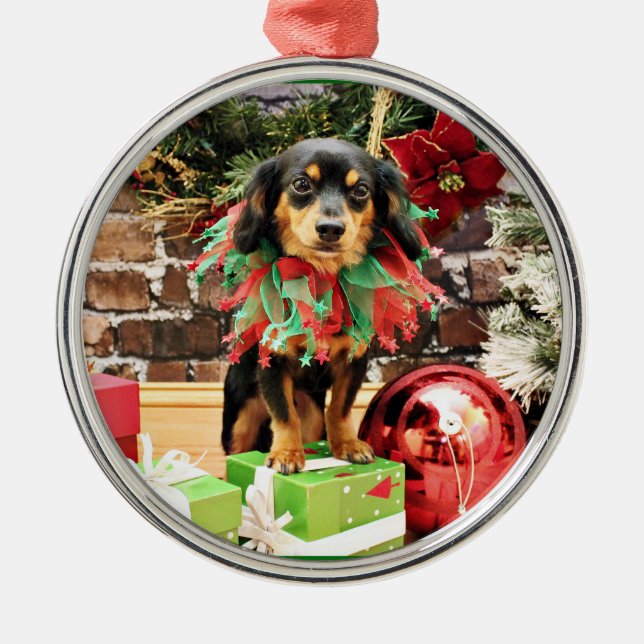 Christmas - Chiweenie - Titus Metal Tree Decoration (Front)