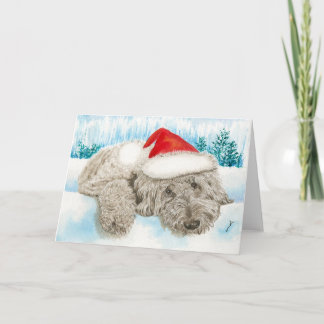 Christmas Chocolate Labradoodle Holiday Card