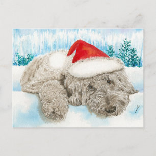 Christmas Chocolate Labradoodle Holiday Postcard
