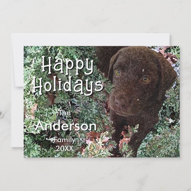 Christmas Chocolate Labrador Dog "Happy Holidays"  Card (Front)