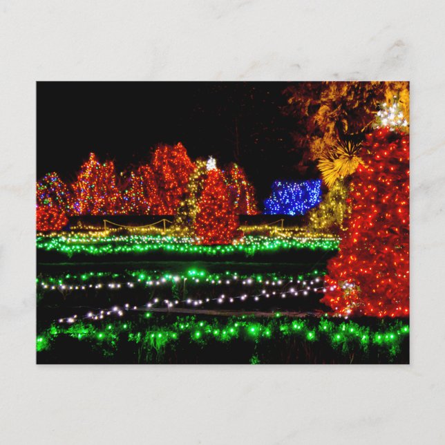 Christmas Classic - Shore Acres State Park Oregon Holiday Postcard (Front)