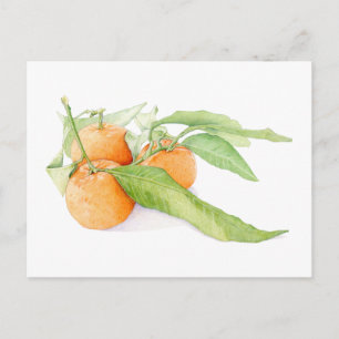 Christmas Clementines Postcard