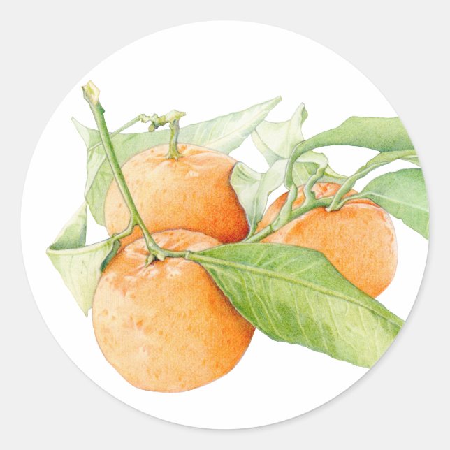 Christmas Clementines Sticker (Front)