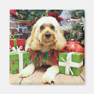 Christmas - Cockapoo - Buddy Magnet
