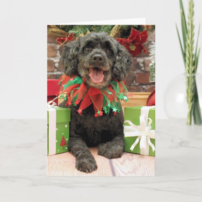 Christmas - Cockapoo - Rocky Holiday Card (Front)