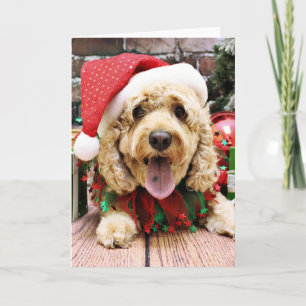 Christmas - Cockapoo - Sadie Holiday Card