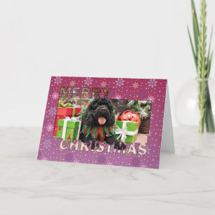 Christmas - Cockapoo - Sophie Holiday Card