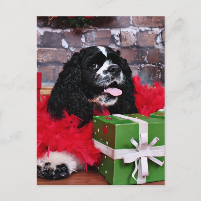 Christmas - Cocker Spaniel - Maggie Holiday Postcard (Front)