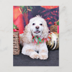 Christmas - Cocker Spaniel - Sammy Holiday Postcard